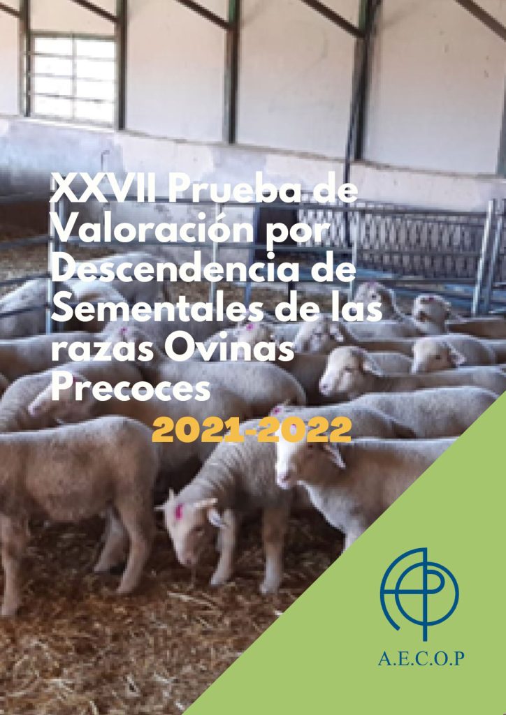 XXVIII-Prueba-de-Valoracion-2021-2022-portada