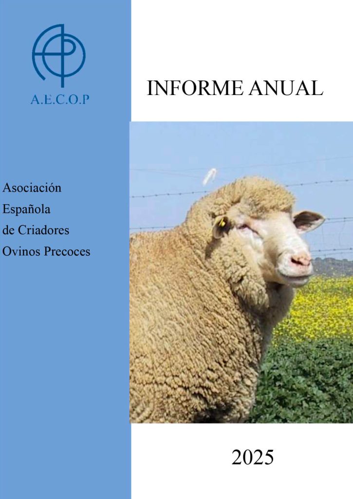 Informe-anual-AECOP-2025-portada